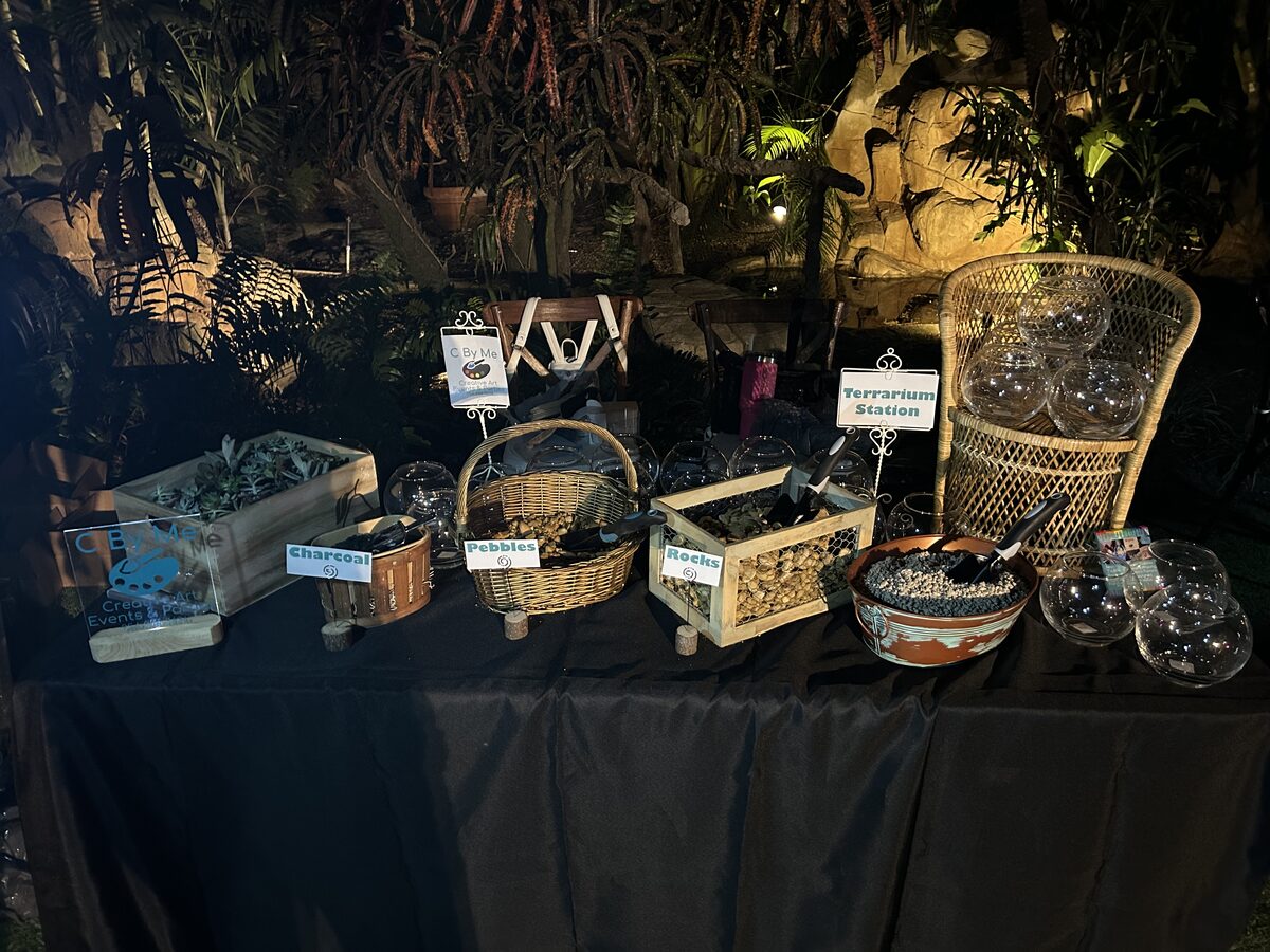 Terrarium making station set up with plants and containers at an event