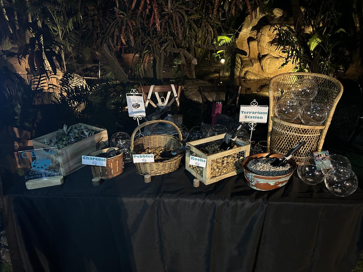 Terrarium making station set up with plants and containers at an event